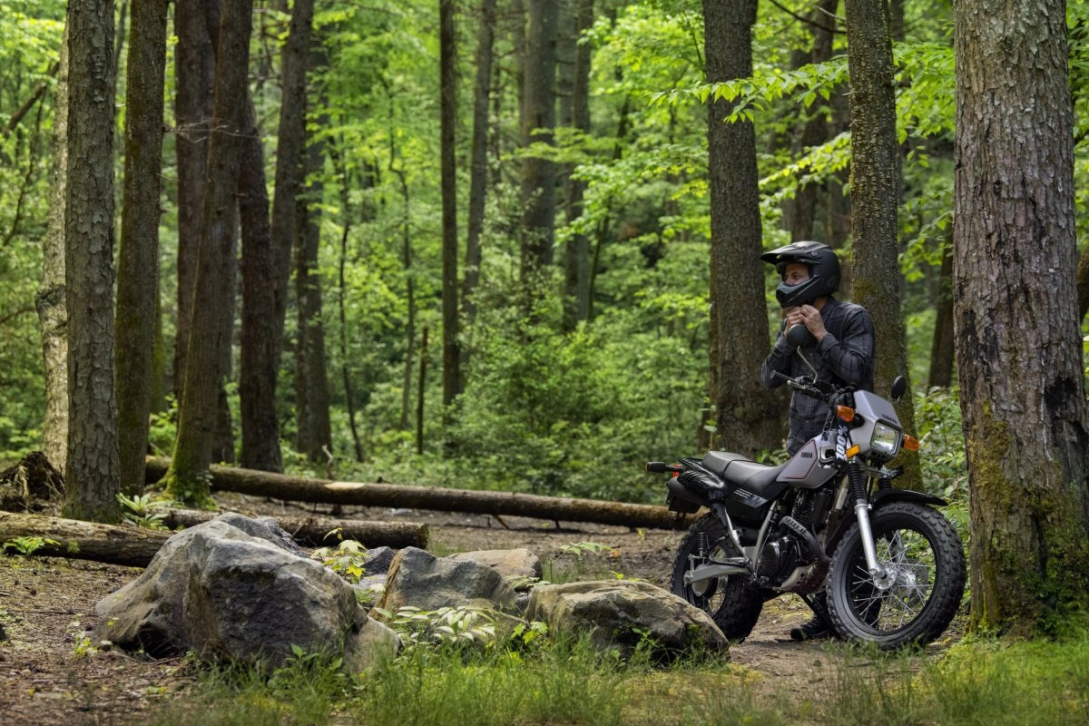 2025 YAMAHA TW200