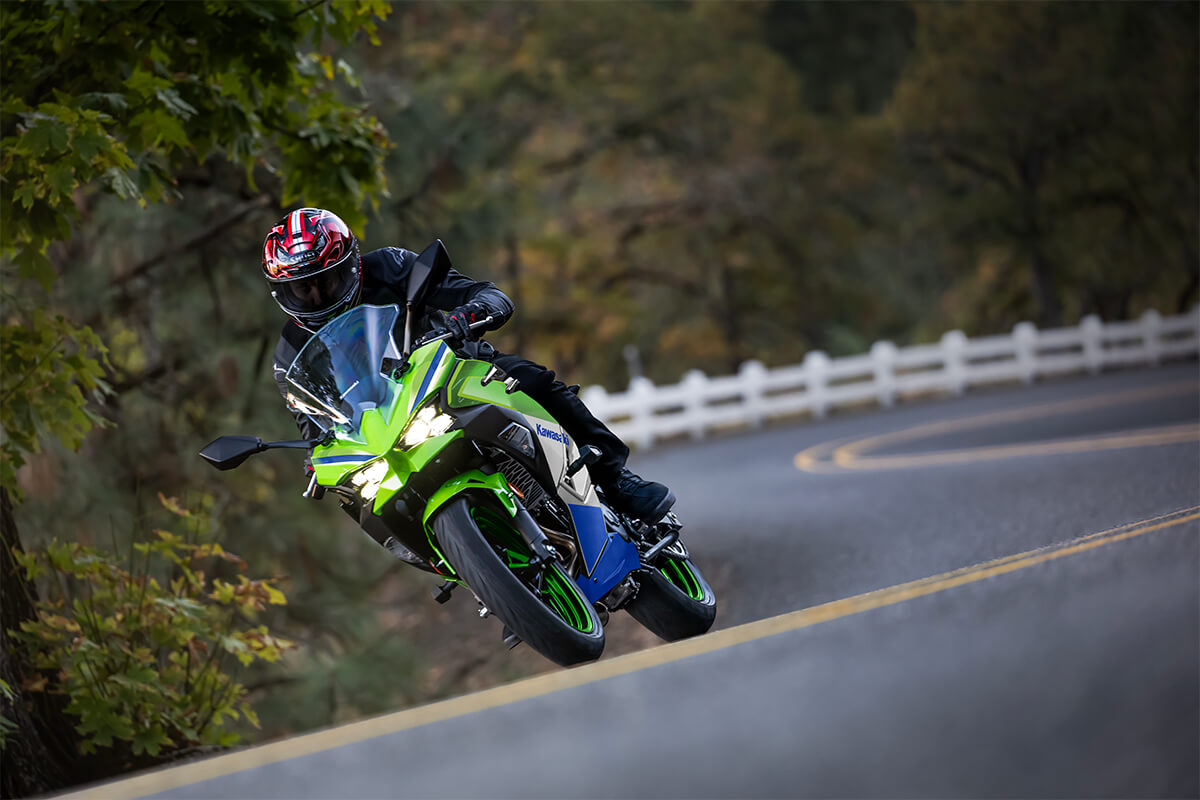 2024 NINJA® 500 SE 40th ANNIVERSARY EDITION ABS