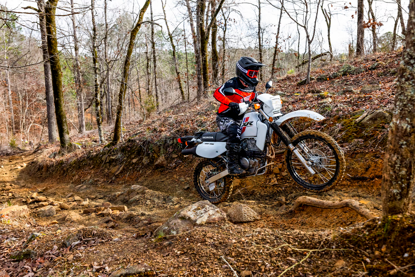 2024 HONDA XR650L