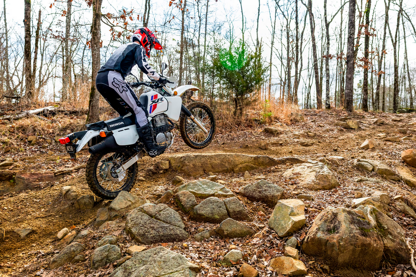 2024 HONDA XR650L