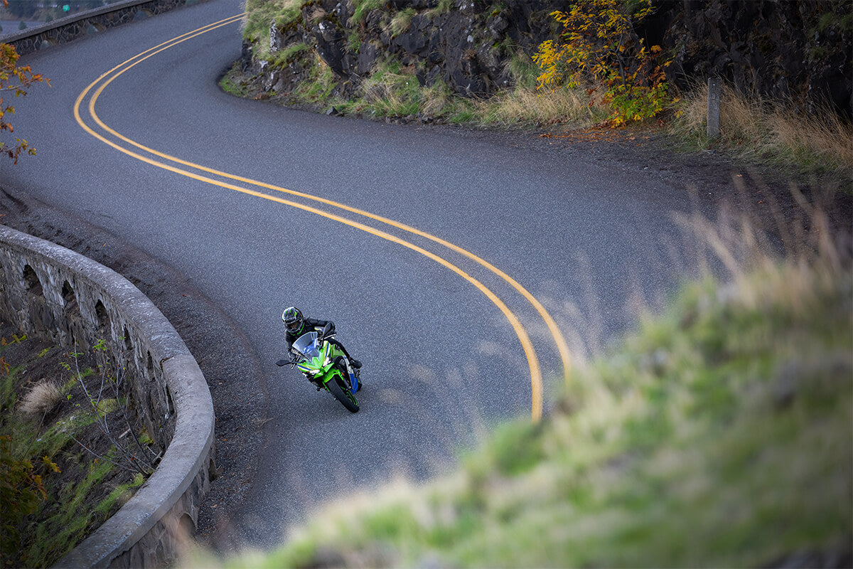 2024 NINJA® 500 SE 40th ANNIVERSARY EDITION ABS