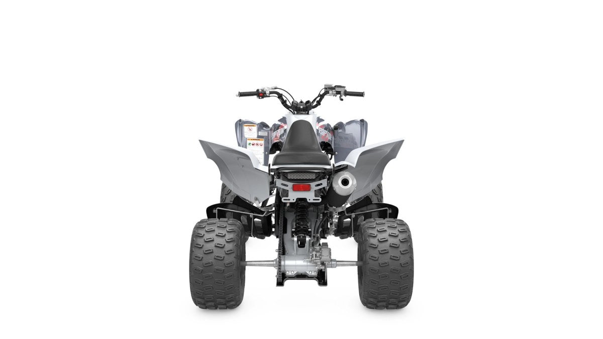 2025 YAMAHA RAPTOR 700