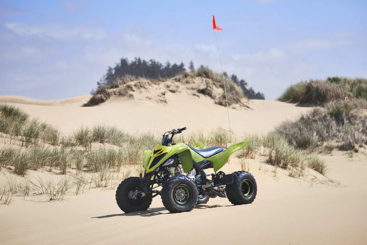 2025 YAMAHA RAPTOR 700R SE