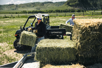 2026 CFMOTO UFORCE 1000