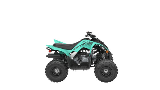 2024 YAMAHA RAPTOR 110