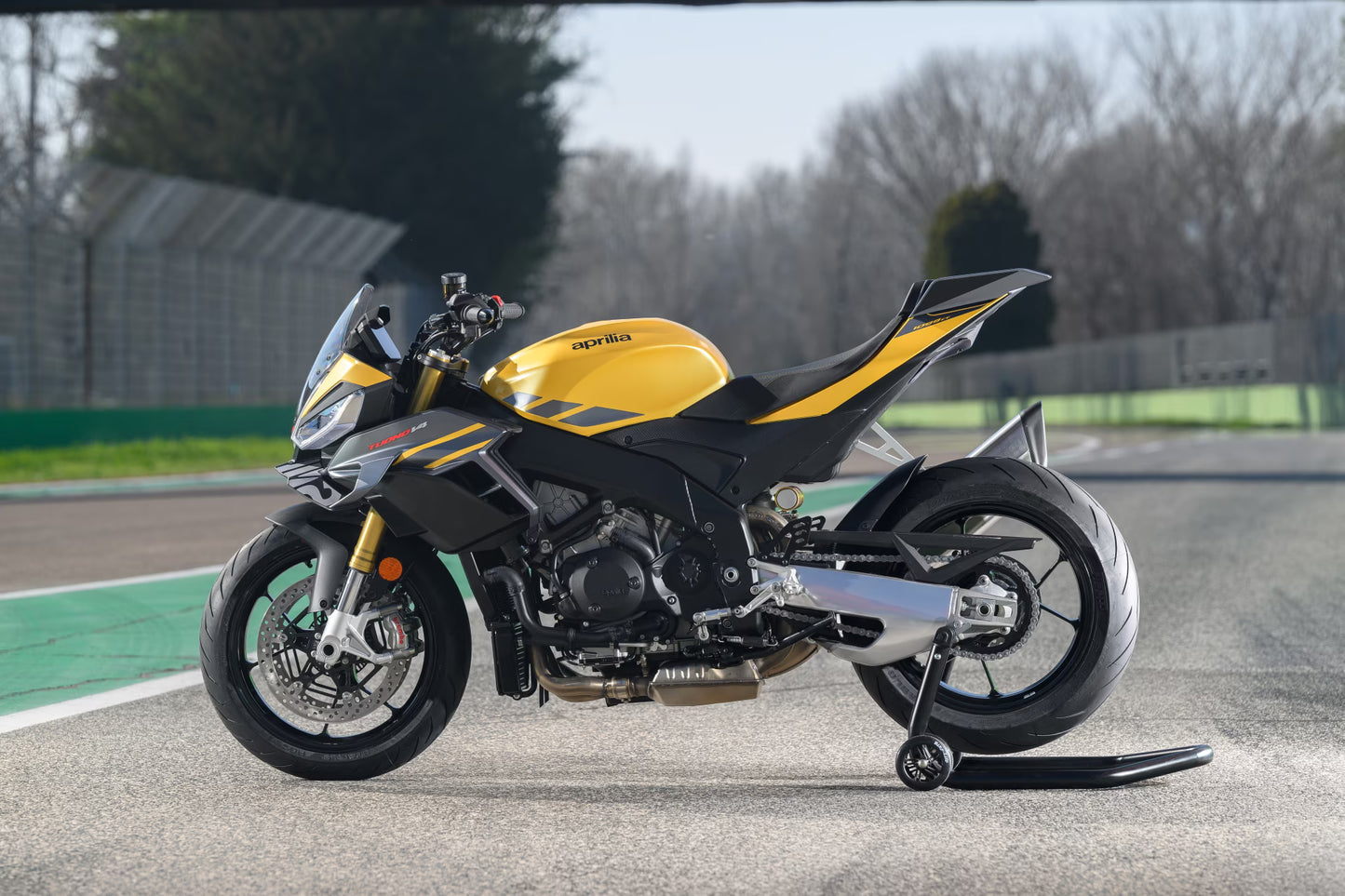 Aprilia Tuono V4 1100