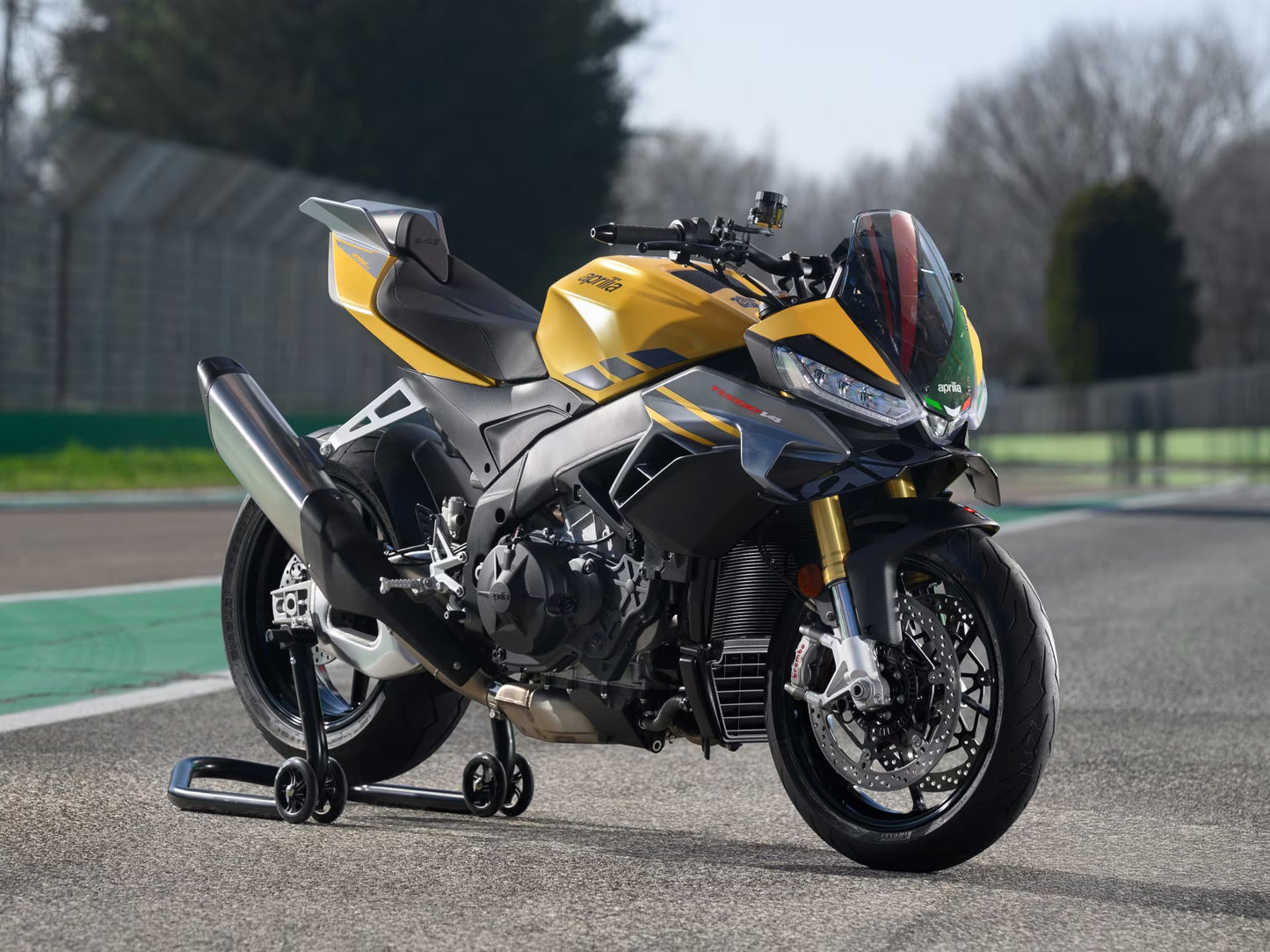 Aprilia Tuono V4 1100