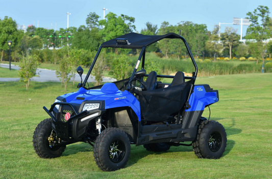 Vitacci UTV BLADE 200 EFI