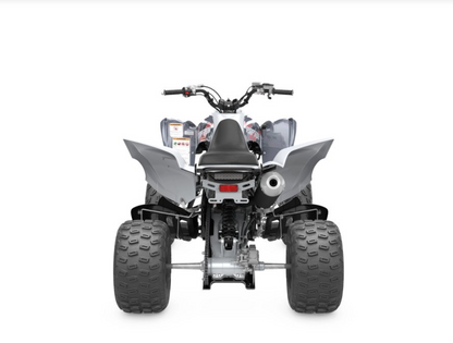 2026 YAMAHA RAPTOR 700