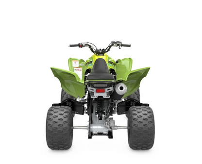 2026 YAMAHA RAPTOR 700R SE